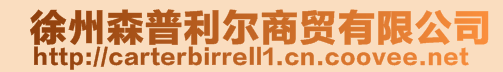 森普利尔智能锁Logo