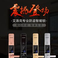 LH700智能门锁