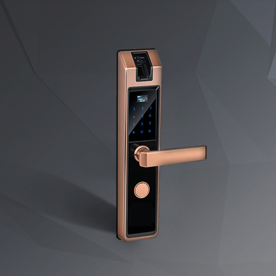 金洛克指静脉锁星脉K2   原价3899
