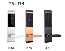 凯恩斯智能公寓锁T1-G黑色