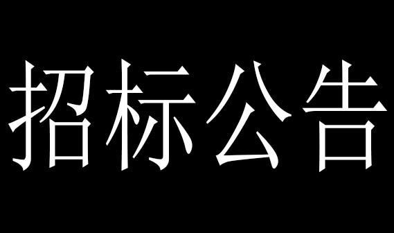 邯郸市2021年保障性住房更换智能门锁项目招标公告