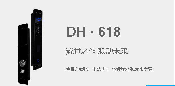 DH系列2